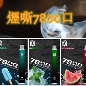一次性/拋棄式電子煙